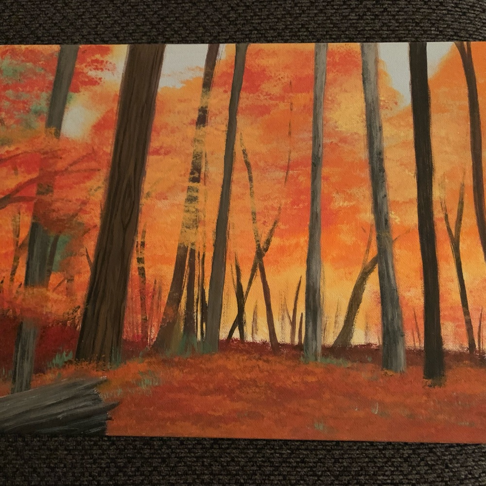 12x16 canvas painted artwork